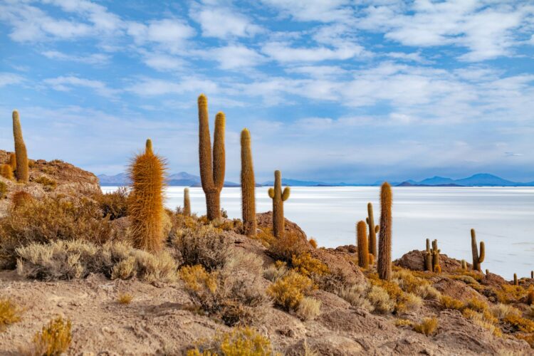 Uyuni Salt Flats, Bolivia