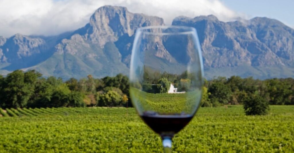 Cape Winelands, South Africa