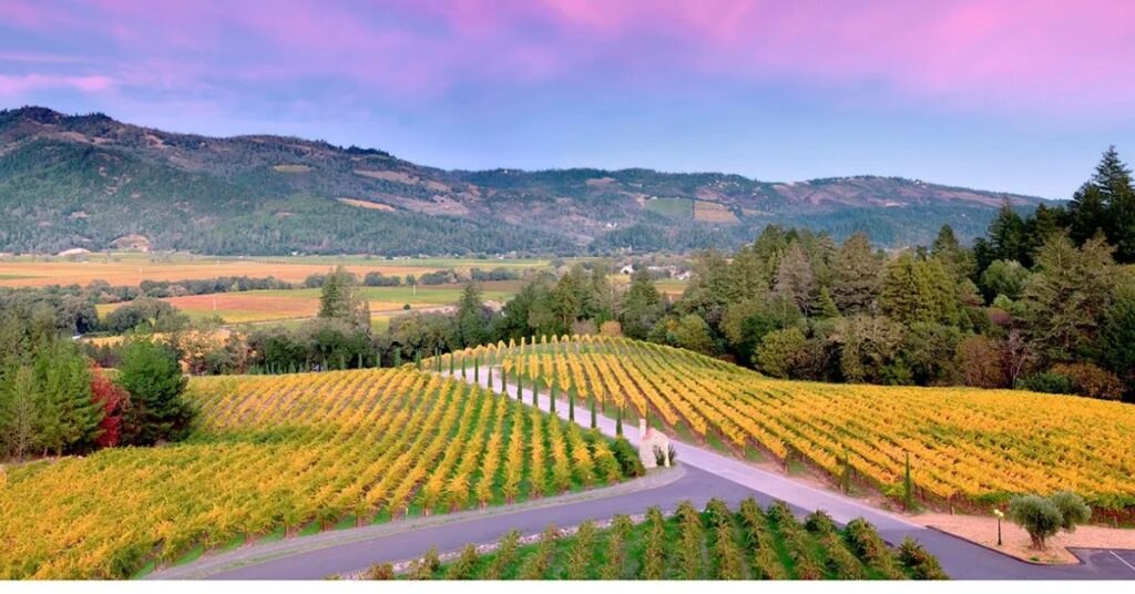 Napa Valley, California